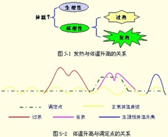 非感染性,临床表现(发热的分度,临床过程与特点,常见热型及临床意义)