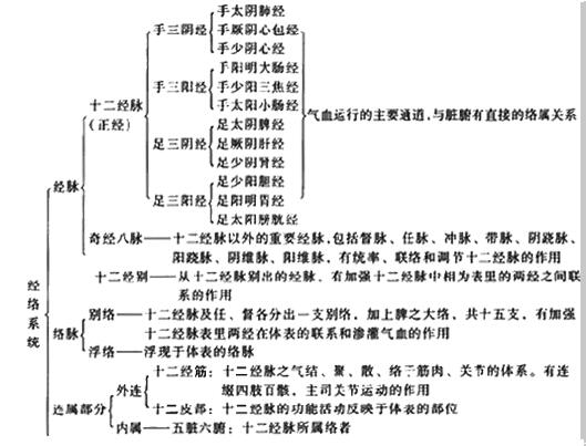 2017中西医执业助理医师中医基础复习笔记:第九单元经络