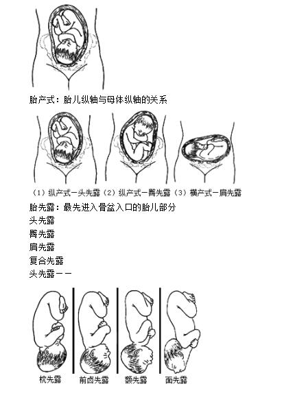 胎产式,胎先露及胎方位的种类及关系易错点!