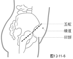 足少陽膽經(jīng)穴