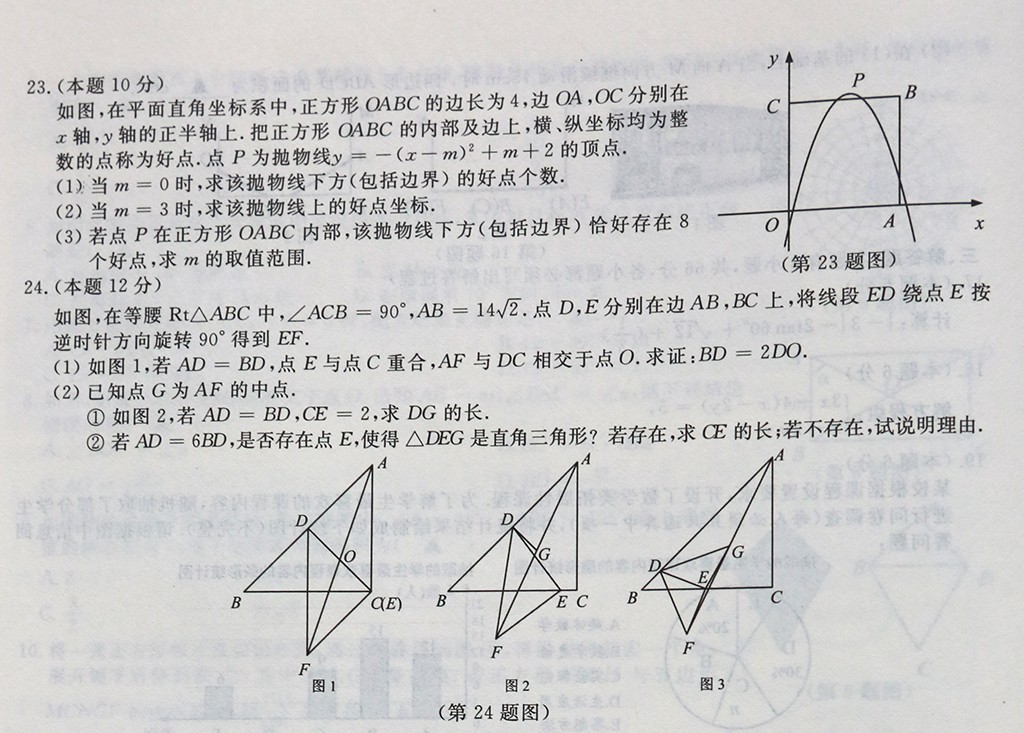 2019㽭ˮпѧ