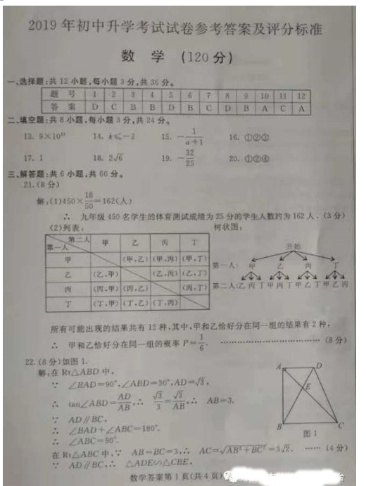 2019ɹпѧ7